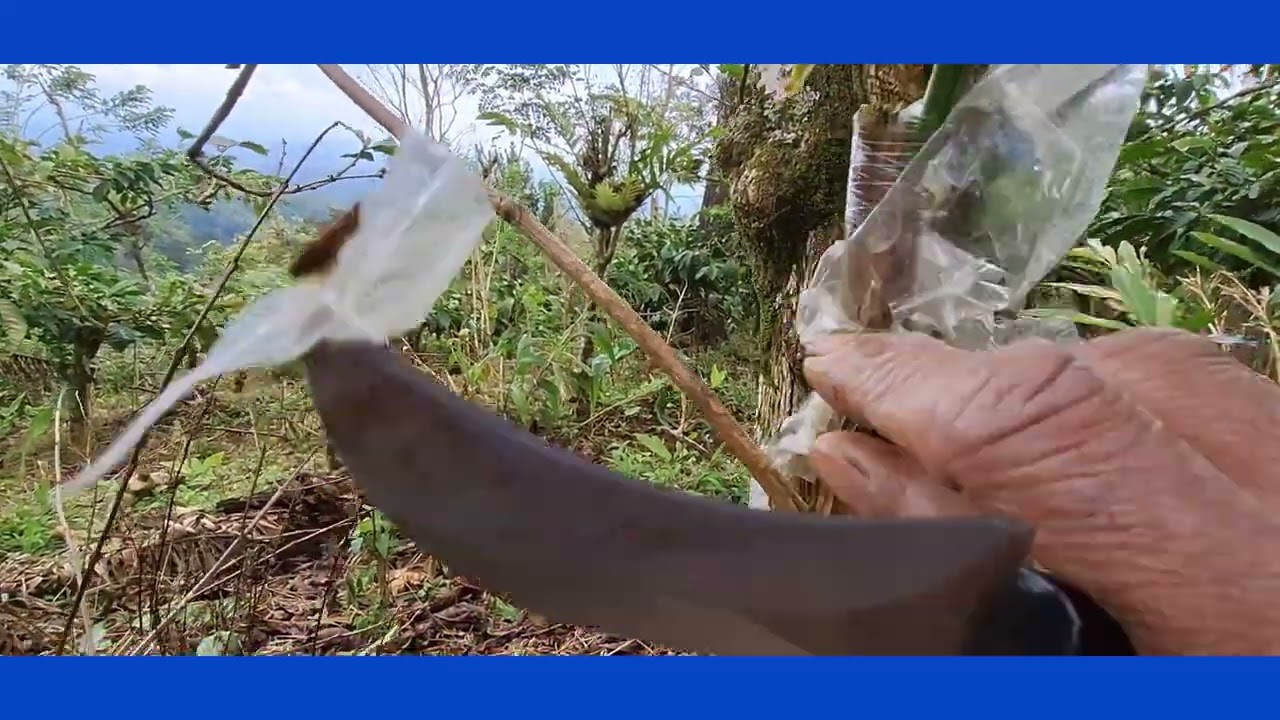 Kegiatan bukakin plastik stekkan suasana di bulan puasa