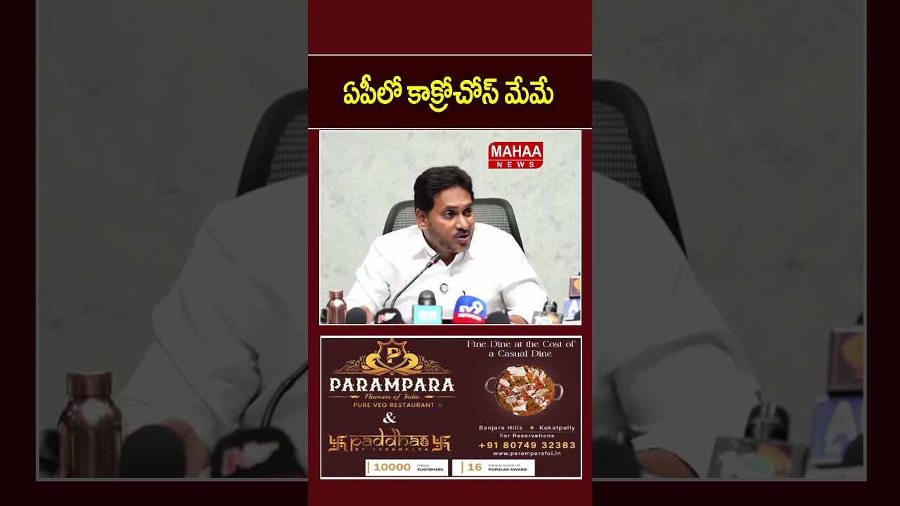 ఏపీలో కాక్రోచోస్ మేమే..Ys Jagan | CM Chandrababu | Mahaa News