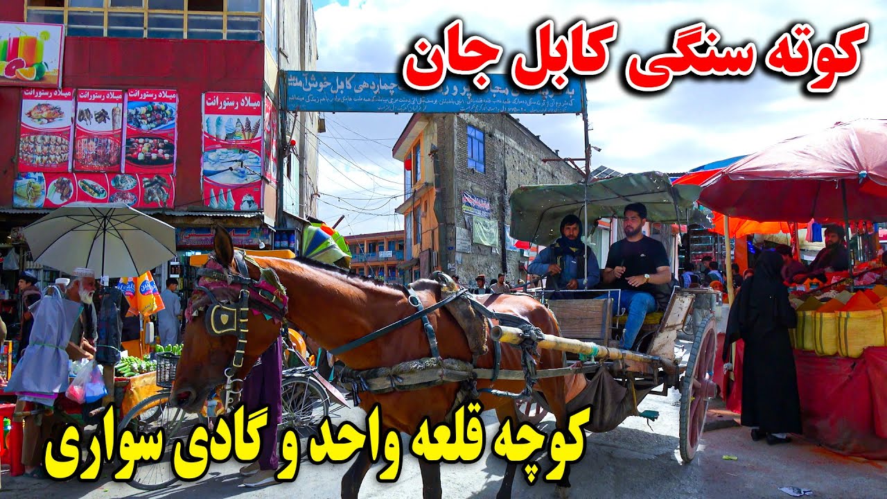 گزارش مصطفی سخا در کوته سنگی کوچه قلعه واحد - گادی سواری