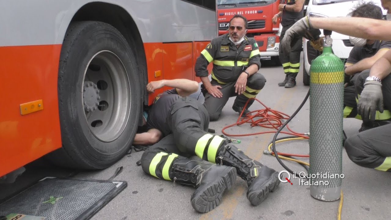 Bari, gattino intrappolato nelle ruote del bus: meccanici Amtab lo mettono in salvo