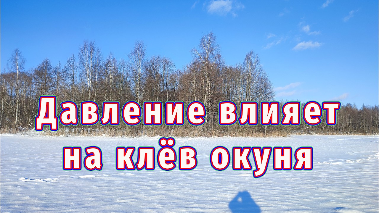 Почти Весна и окунь готовится клевать! Давление улучшает клёв!
