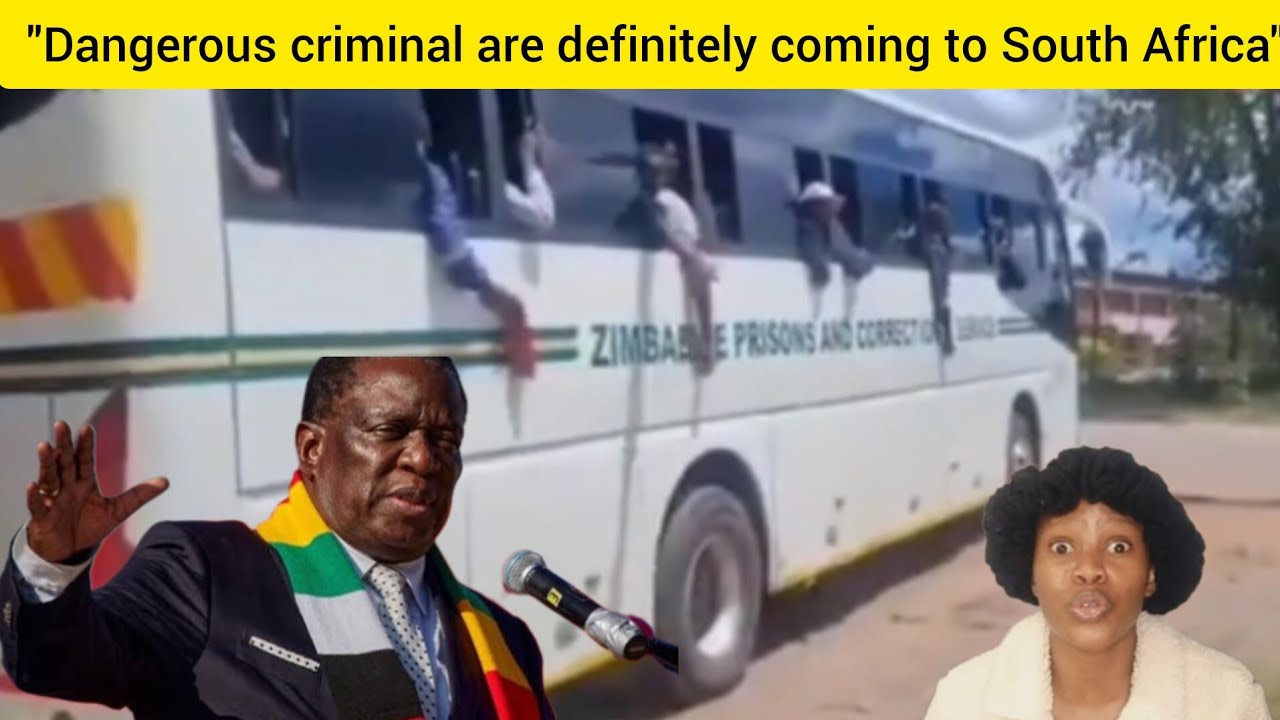 Опасные преступники, освобожденные в Зимбабве из-за перенаселенности, прибывают в Южную Африку.