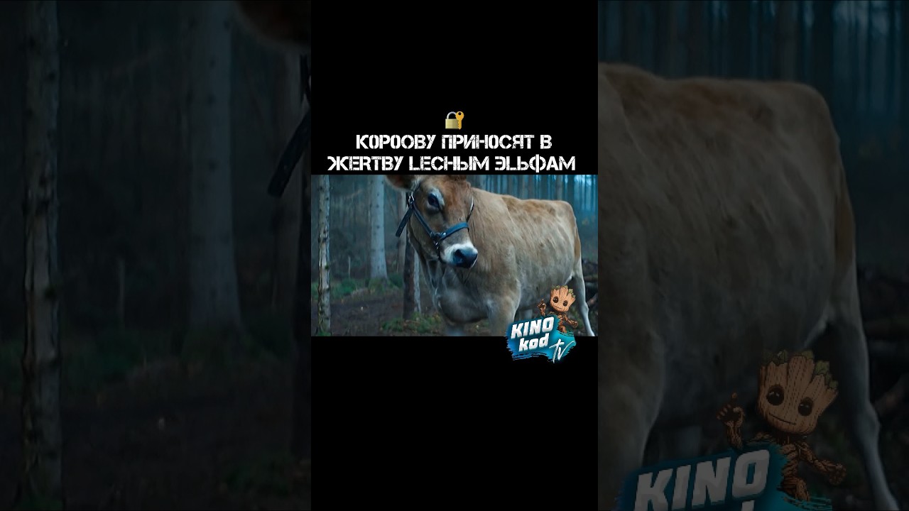 🍿Жестокие эльфы