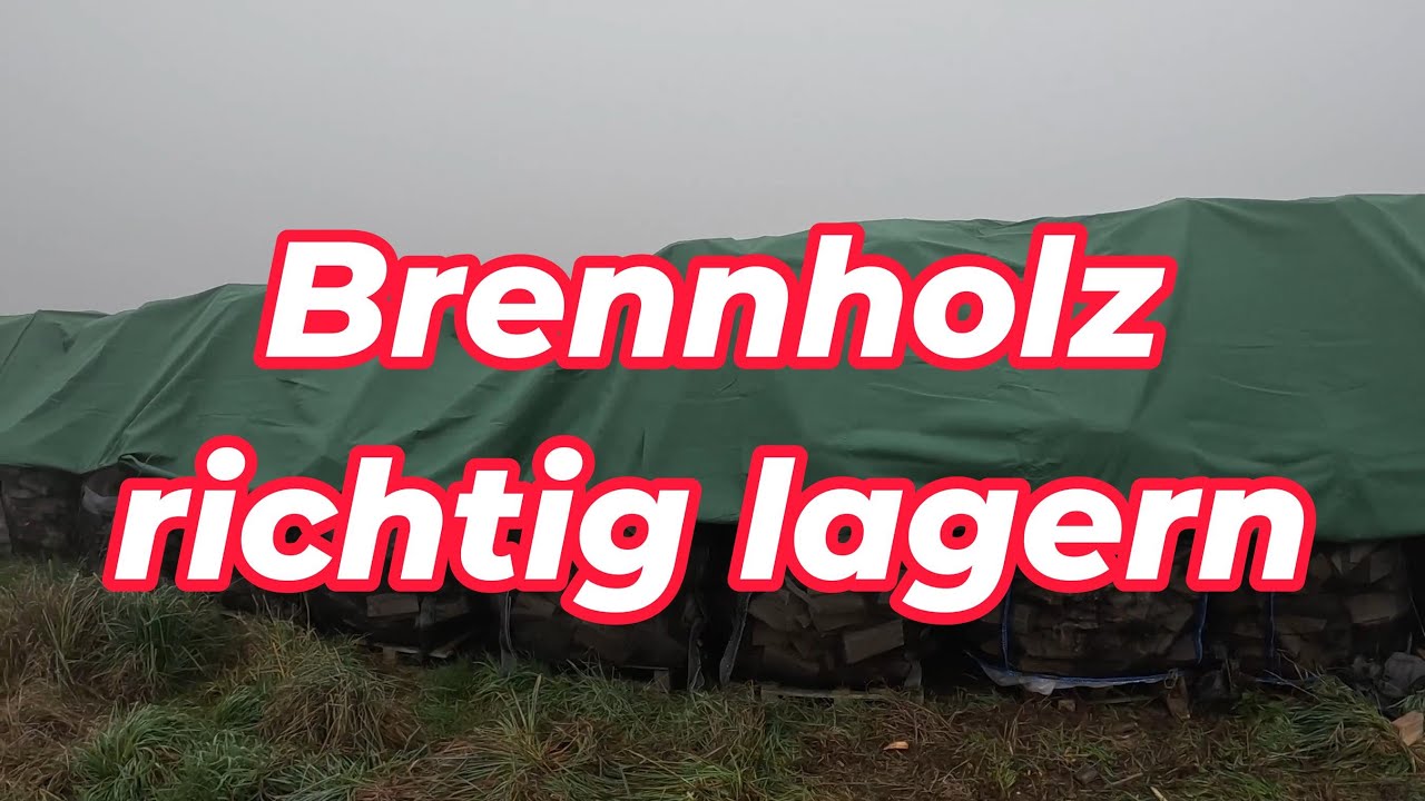 Brennholz richtig lagern: Abdecken oder nicht? Ein Test