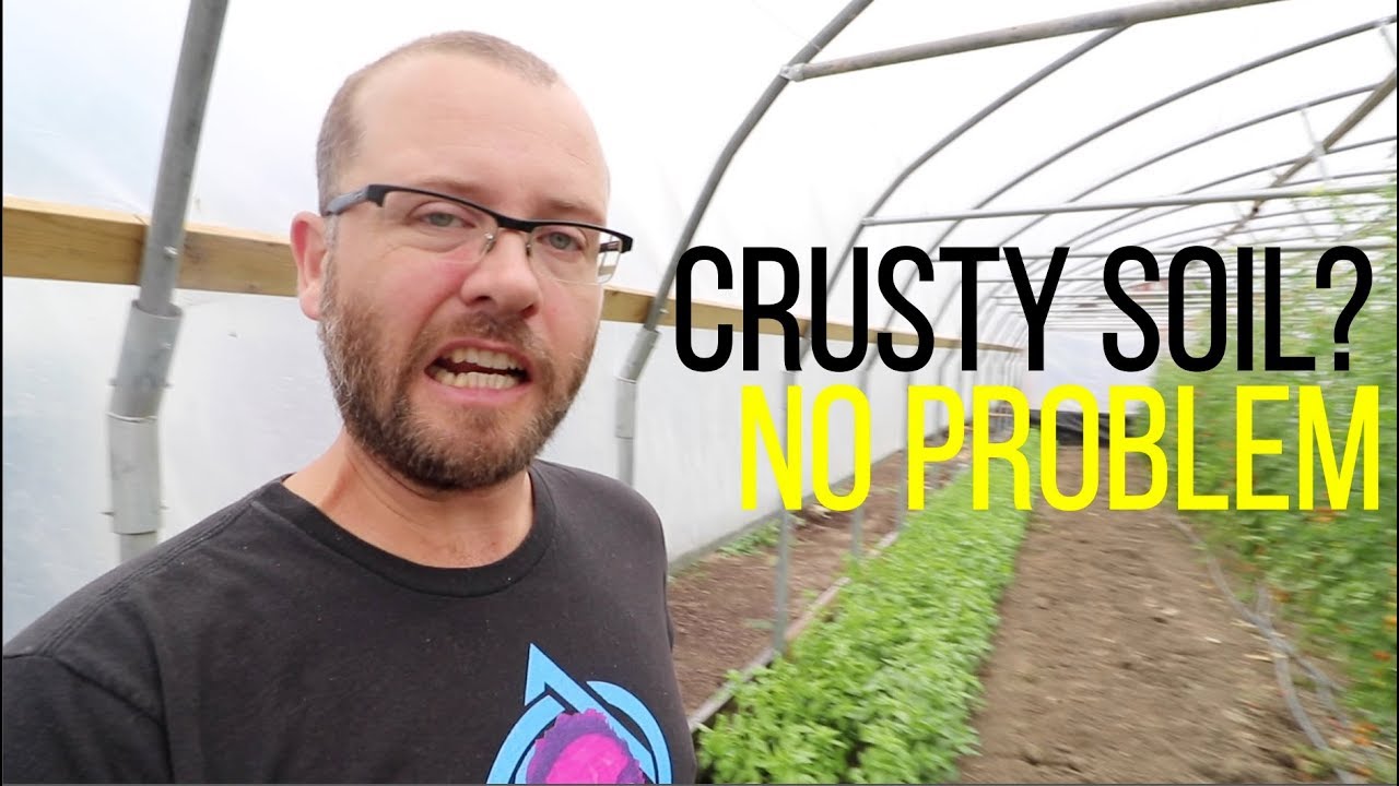 Crusty Soil? No Problem