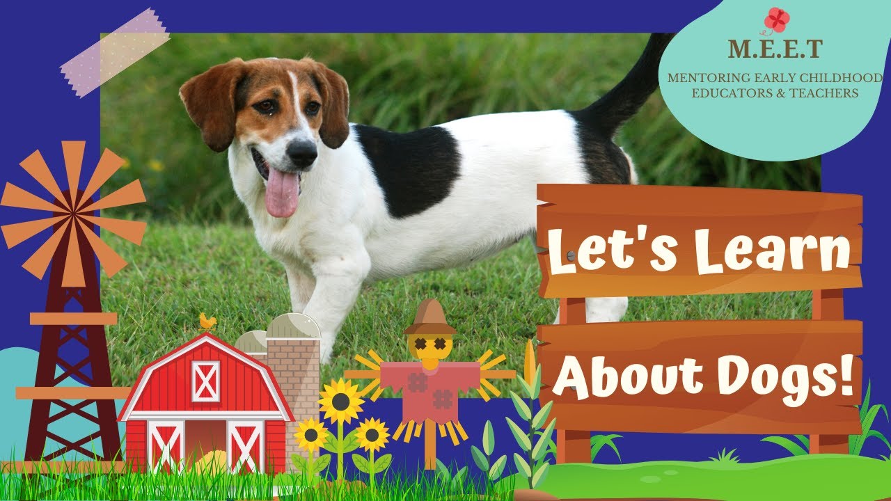 Let's learn about Dogs! online preschool learning videos for kids