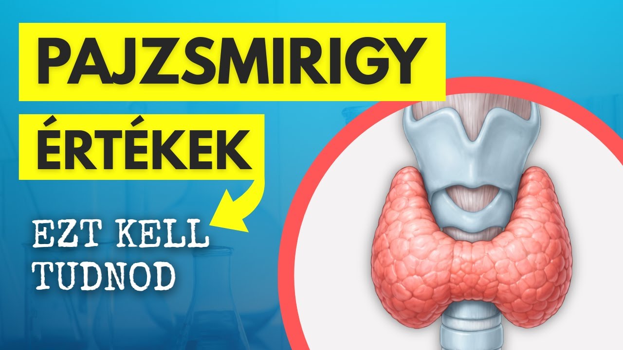 Pajzsmirigy laborértékek elmagyarázva (mikor nem elég a TSH?)