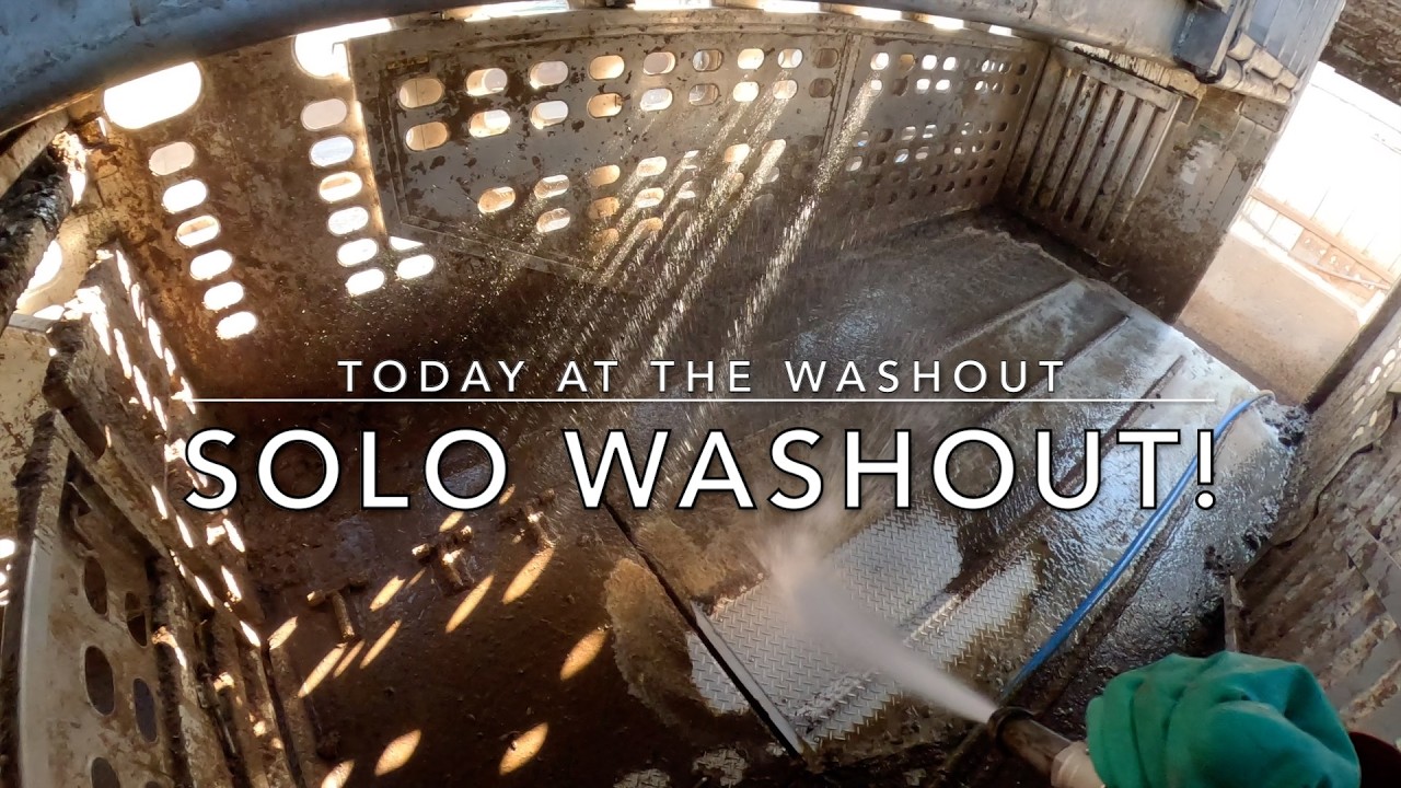Solo Washout! (Cattle Washout ASMR Ep. 25)