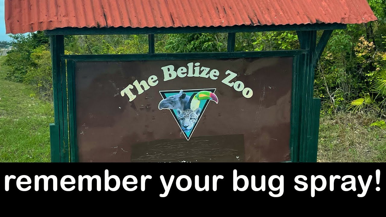 Belize Zoo: Unforgettable Experience