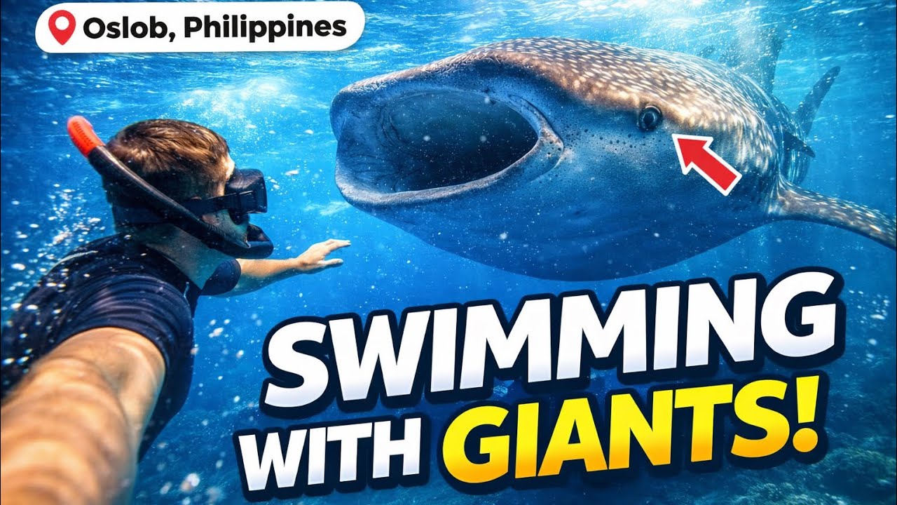 I Swam With the World’s Biggest Fish 😳 (Bucket List Moment)