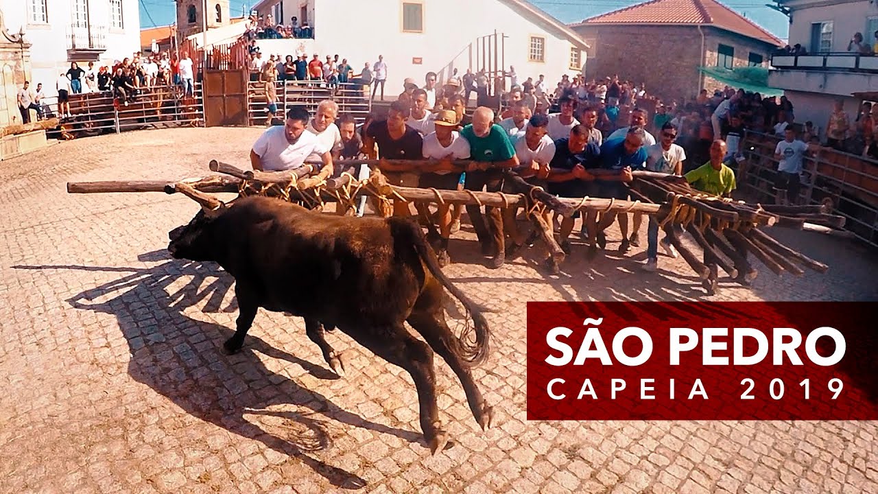 Capeia São Pedro 2019 — Aldeia da Ponte