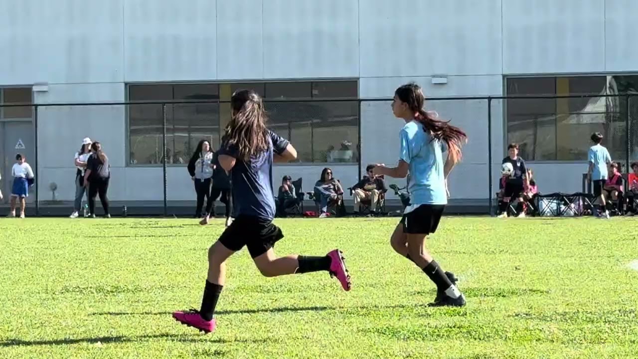 Sunkist vs Franklin pt 1