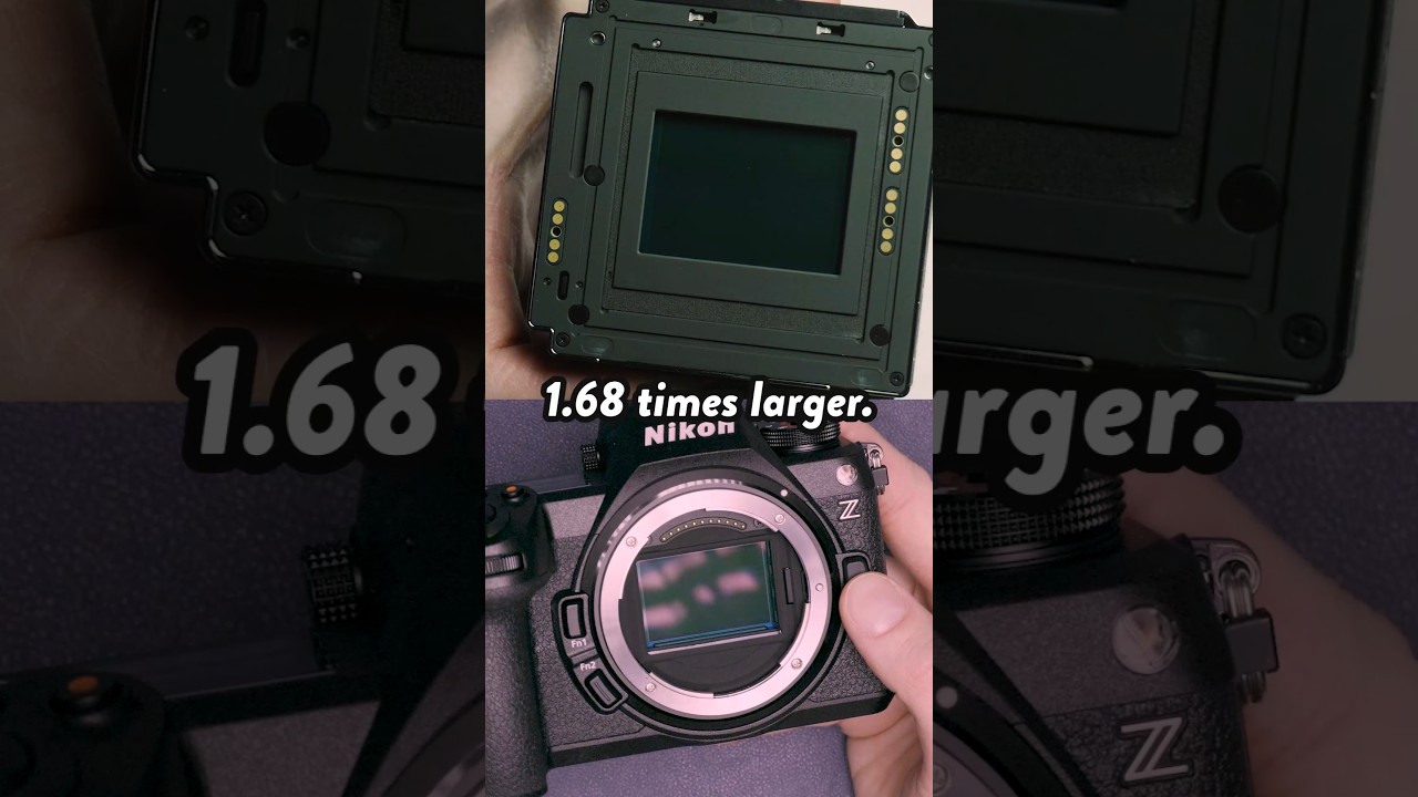 Is Medium Format BETTER Than Full Frame and APS-C? 🤔📸