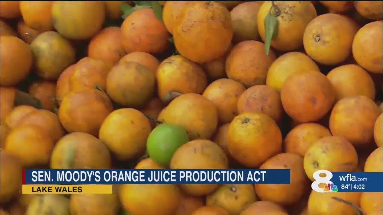 'Protect our growers': Moody, citrus growers say federal standard change could help declining indust
