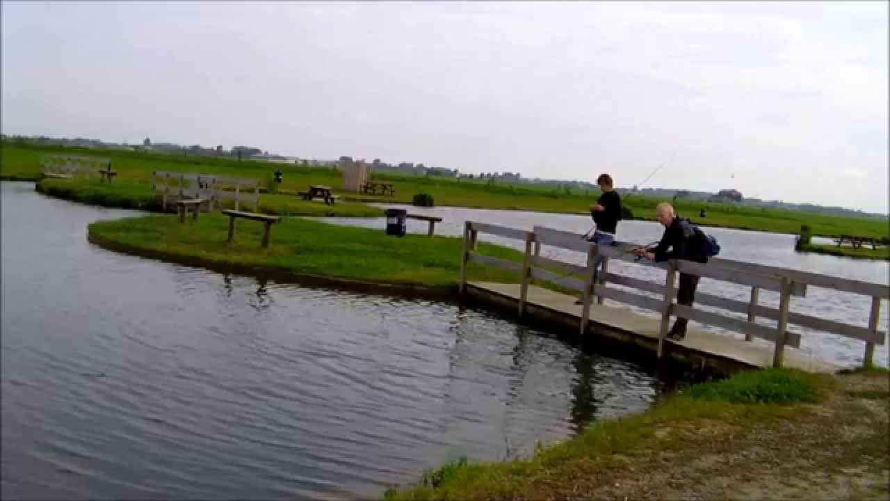 Forelvissen / Troutfishing