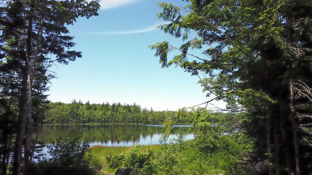 Beautiful Summer Scenes on a Sunny Day at Baptizing Lake - DJI Mini 2 Cinematic 4K Aerial Views