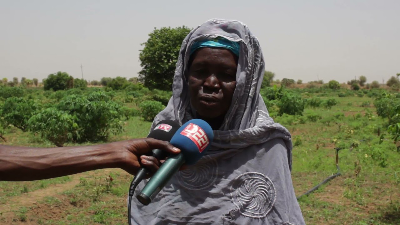 Wendu boseabé : oasis agricole au Fouta