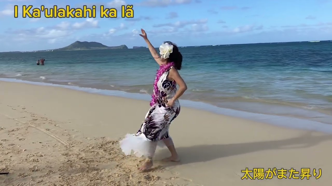 🌺Melia