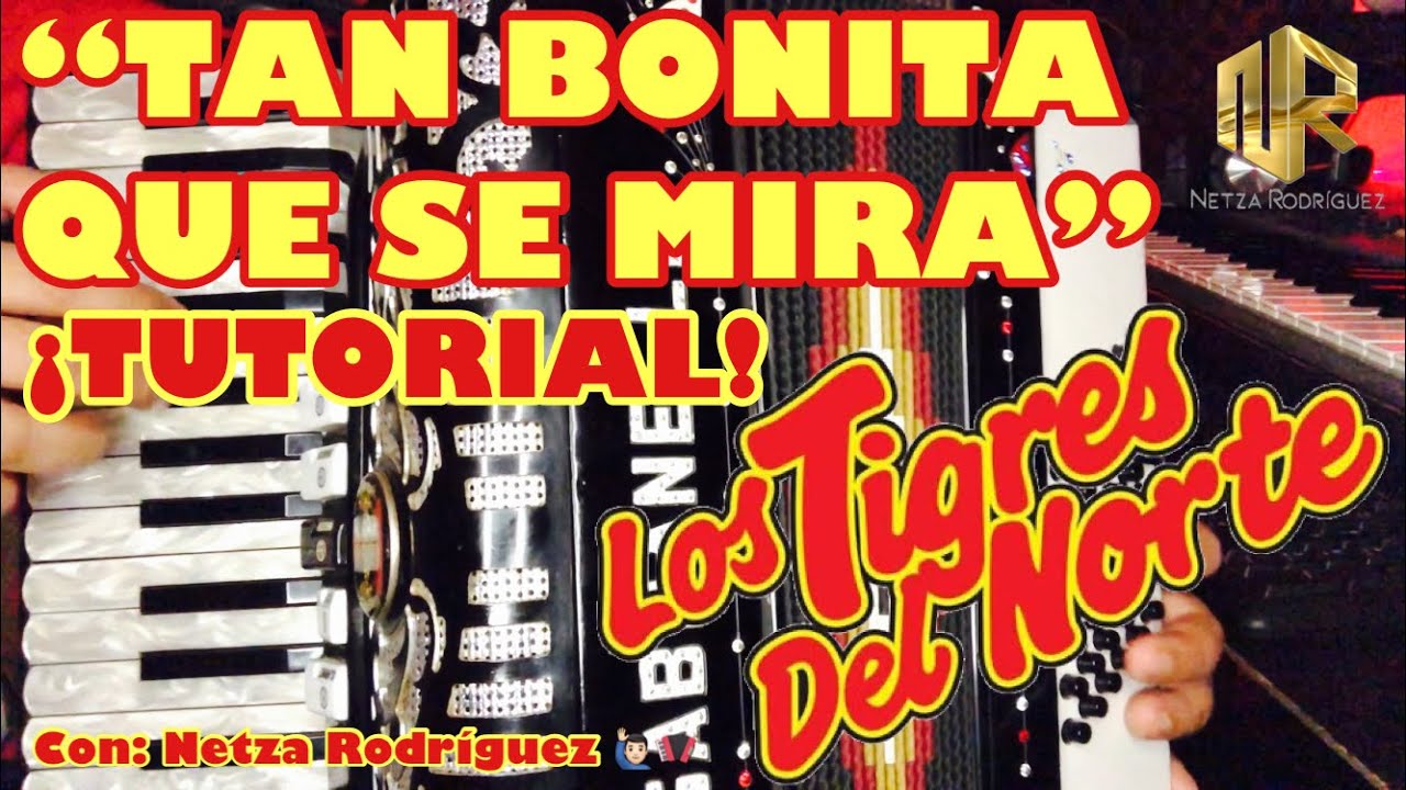 TAN BONITA / TUTORIAL DE ACORDEÓN / NETZA RODRÍGUEZ 🙋🏻‍♂️🪗