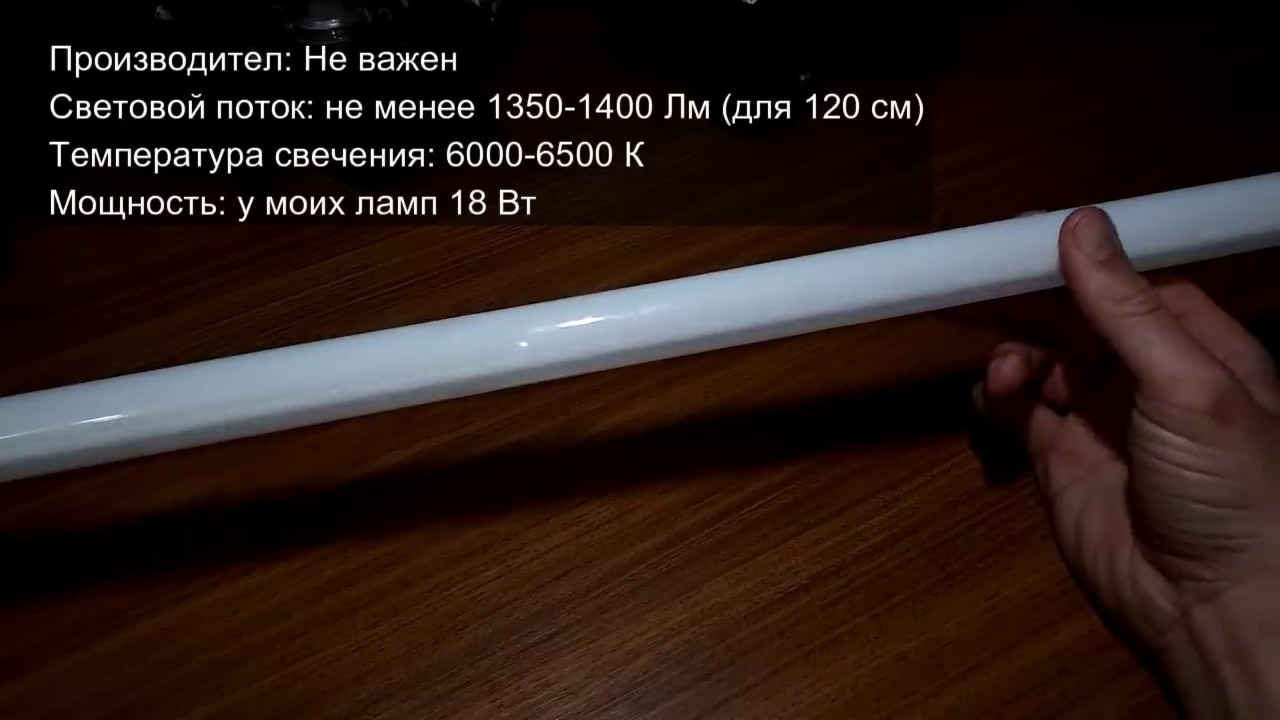 🔝👍🏻 Идеальное освещение для фиалок, стрептокарпусов и глоксиний