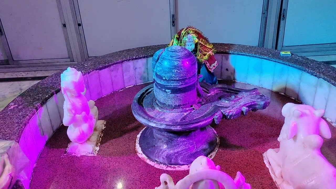 श्री शिव रात्रि महोत्सव श्री शिव मंदिर इंदिरा पार्क पालम गायक संदीप जी 15/2/2026