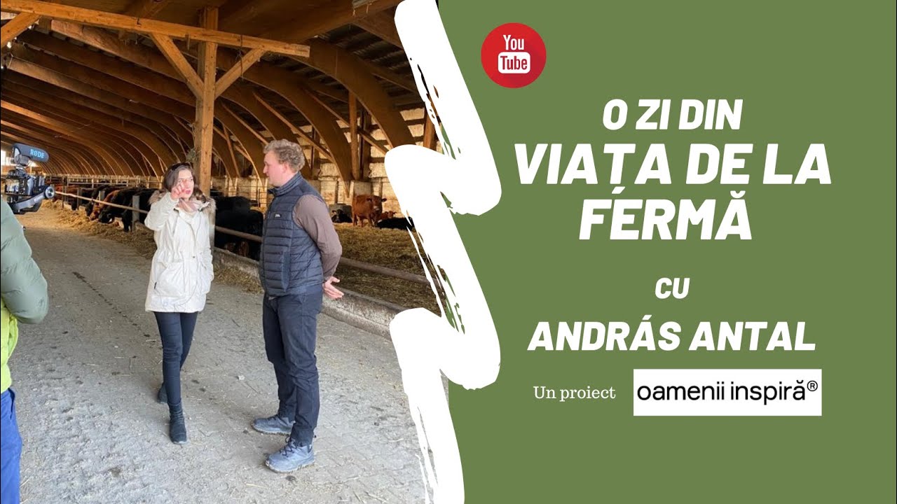 🐄 📹 Reportaj impresionant despre viața la ferma 🚜 🌾de Aberdeen Angus cu András Antal