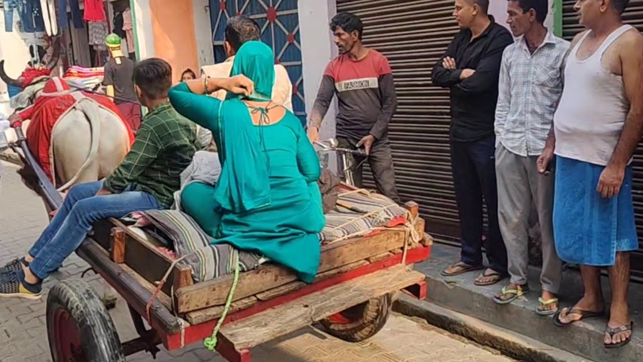 गढ़ गंगा जी जाते हुए सोनू भाई गांव रोहटा वालों का शानदार बैल बुग्गी व बिट्टू भाई 10 भैंसा बोगी