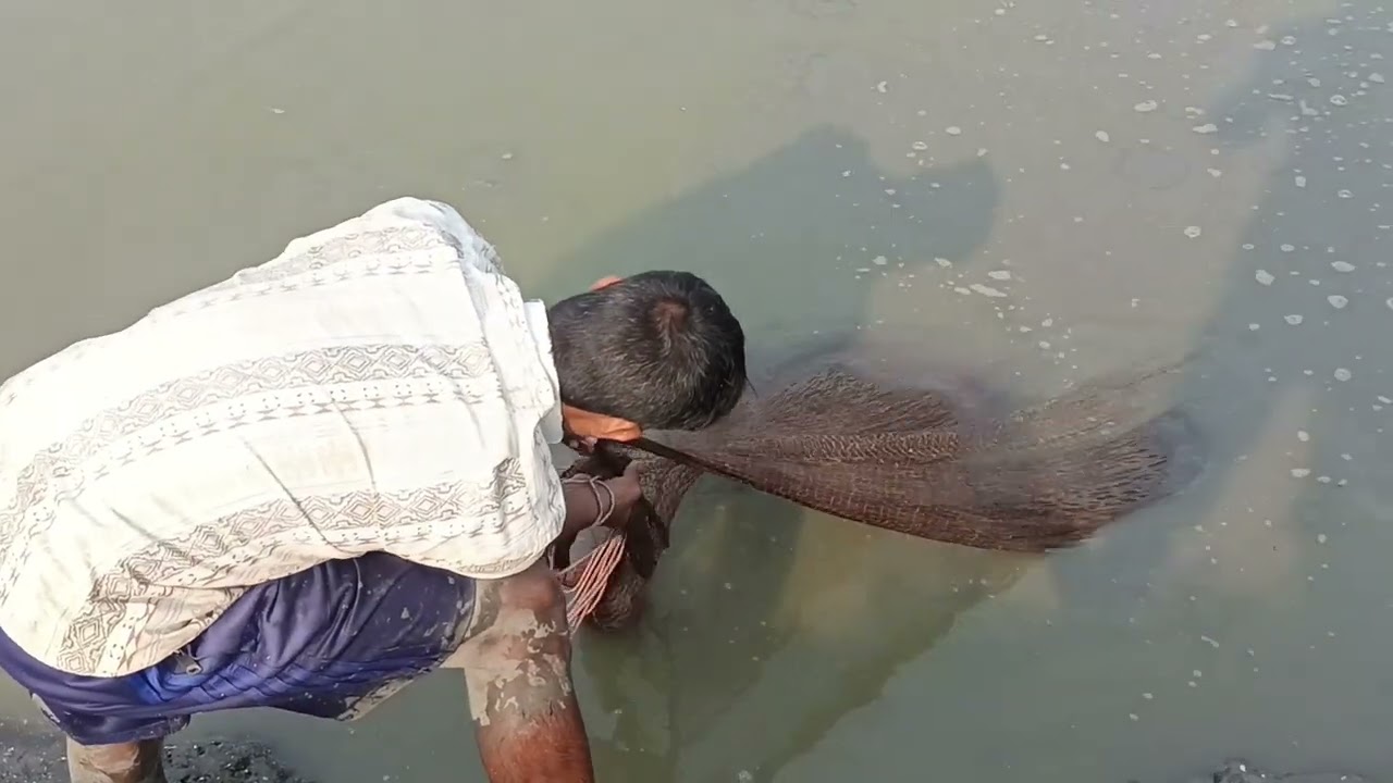 জালের টানে উঠে এলো বিরাট বড় ভাঙ্গাল  মাছ 🐟🎣