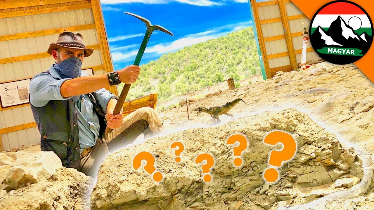 JURA-KINCSEK ÁSÁSA! Oktatóvideók a dinoszauruszokról | Brave Wilderness Magyar