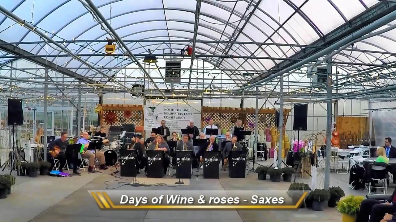 Stardusters Big Band - The Days of Wine and Roses