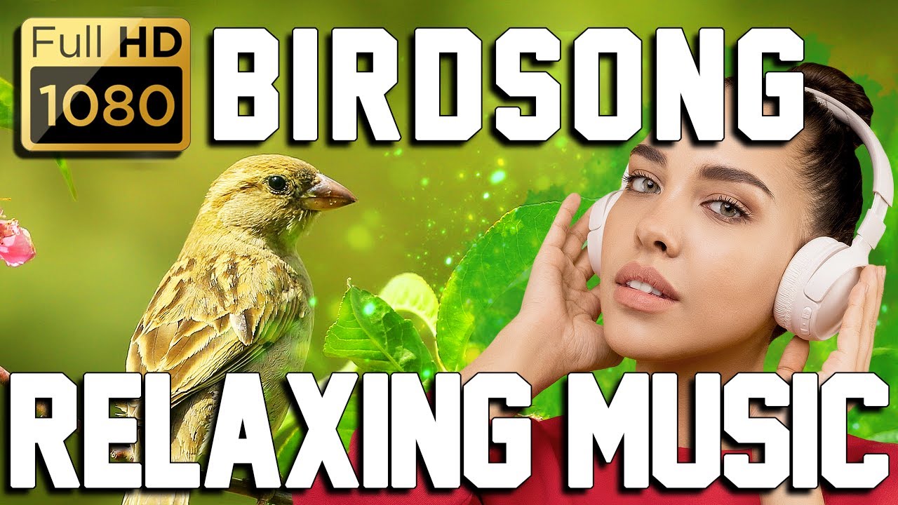 RELAXING/BACKGROUND MUSIC - BIRDSONG | VIDEO FULL HD