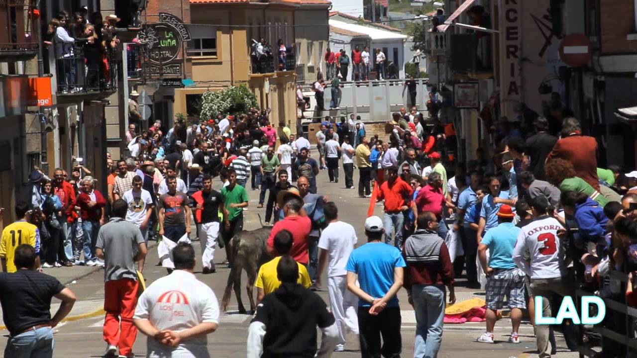 Domingo de Corpus Vitigudino