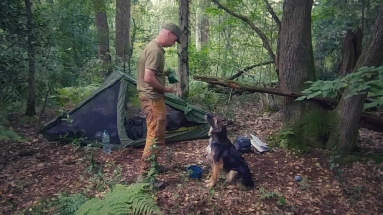 Life With My Dog in the Woods - Setting Up Camp🌲🐾
