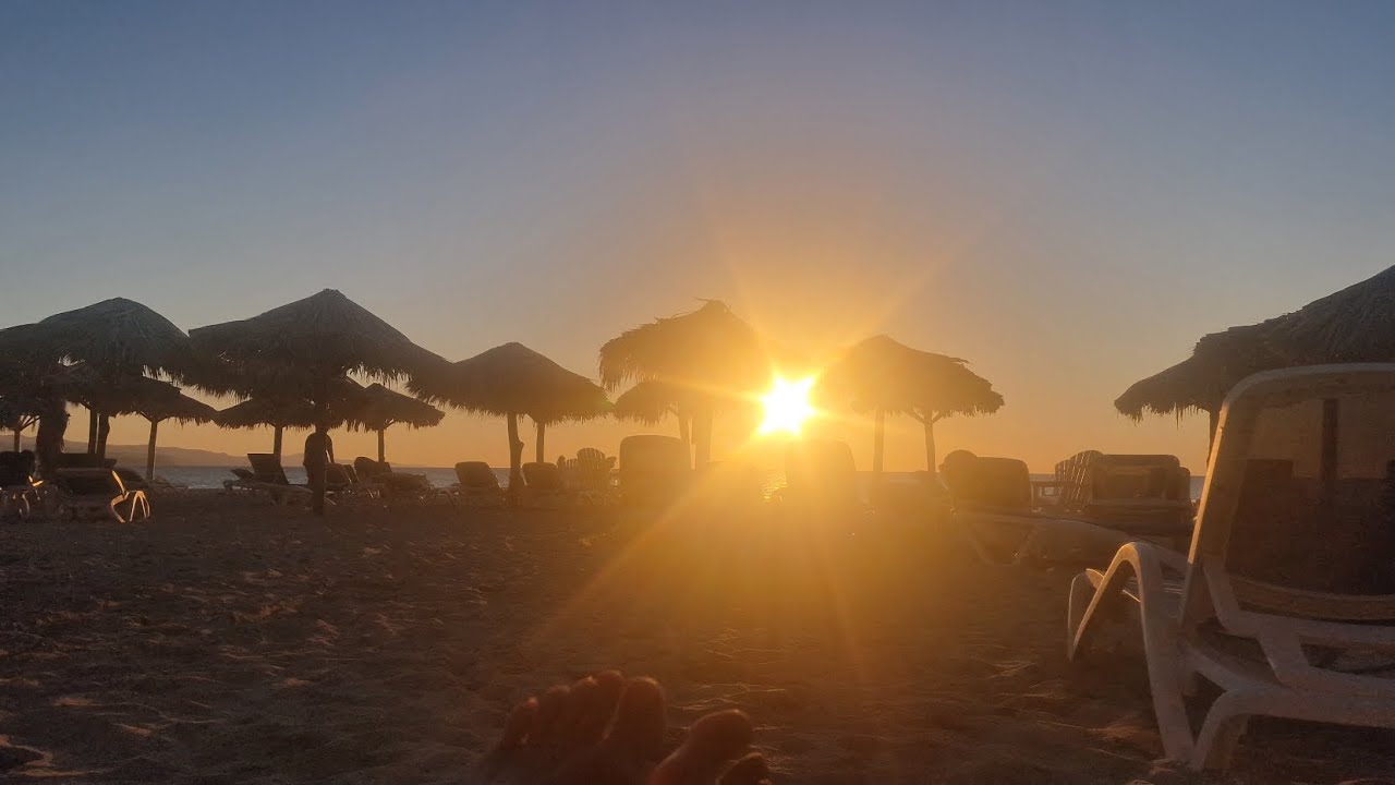 Live on the beach UB40 DWL UNITED 2025 