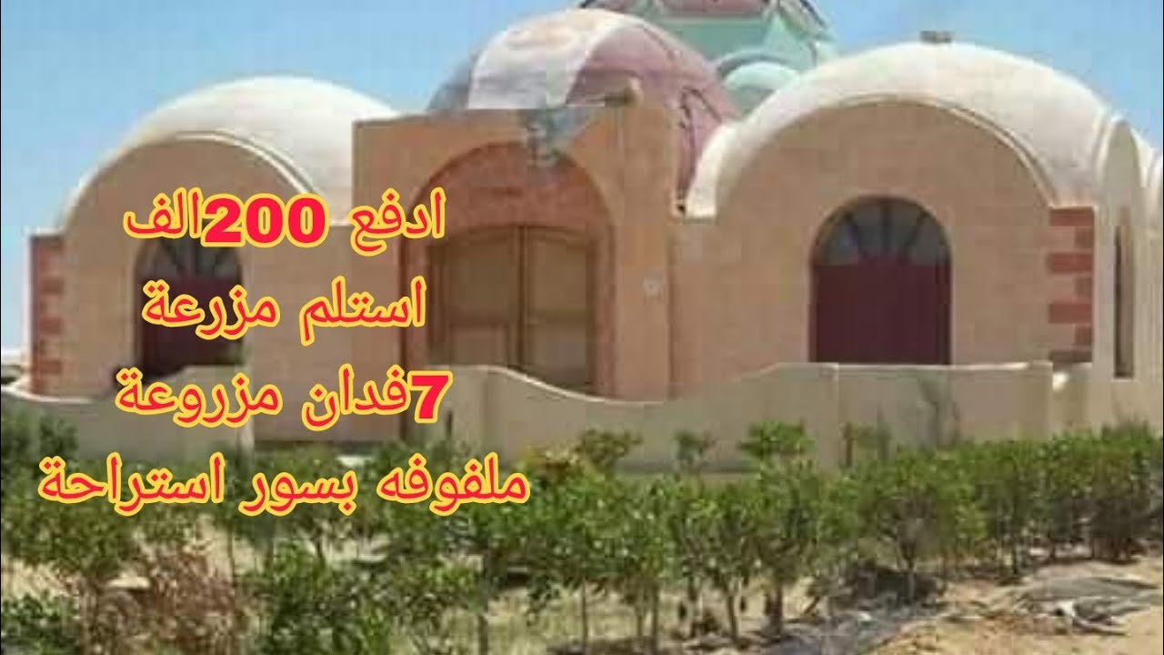 مزرعة 7فدان مزروعة للبيع مسجله ملفوفه بسور استراحة خزان مياه