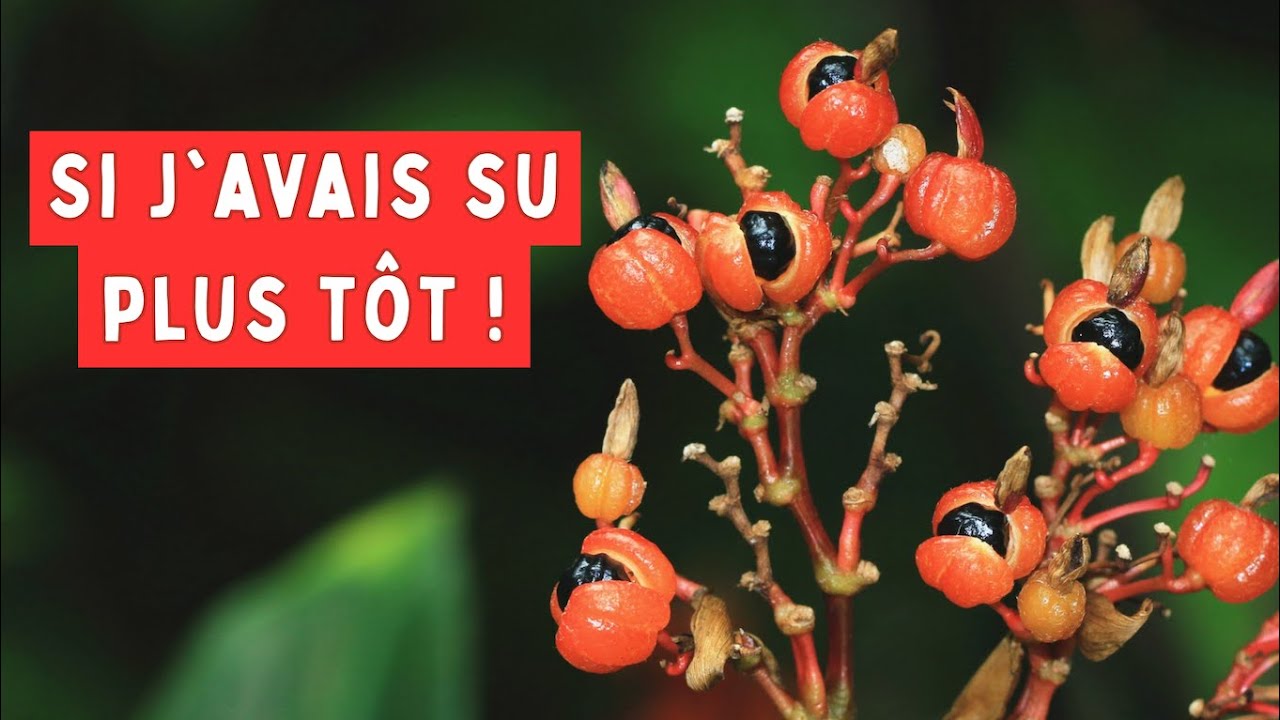 SI J’AVAIS SU PLUS TÔT ! - Je Vous Le Dis MAINTENANT !