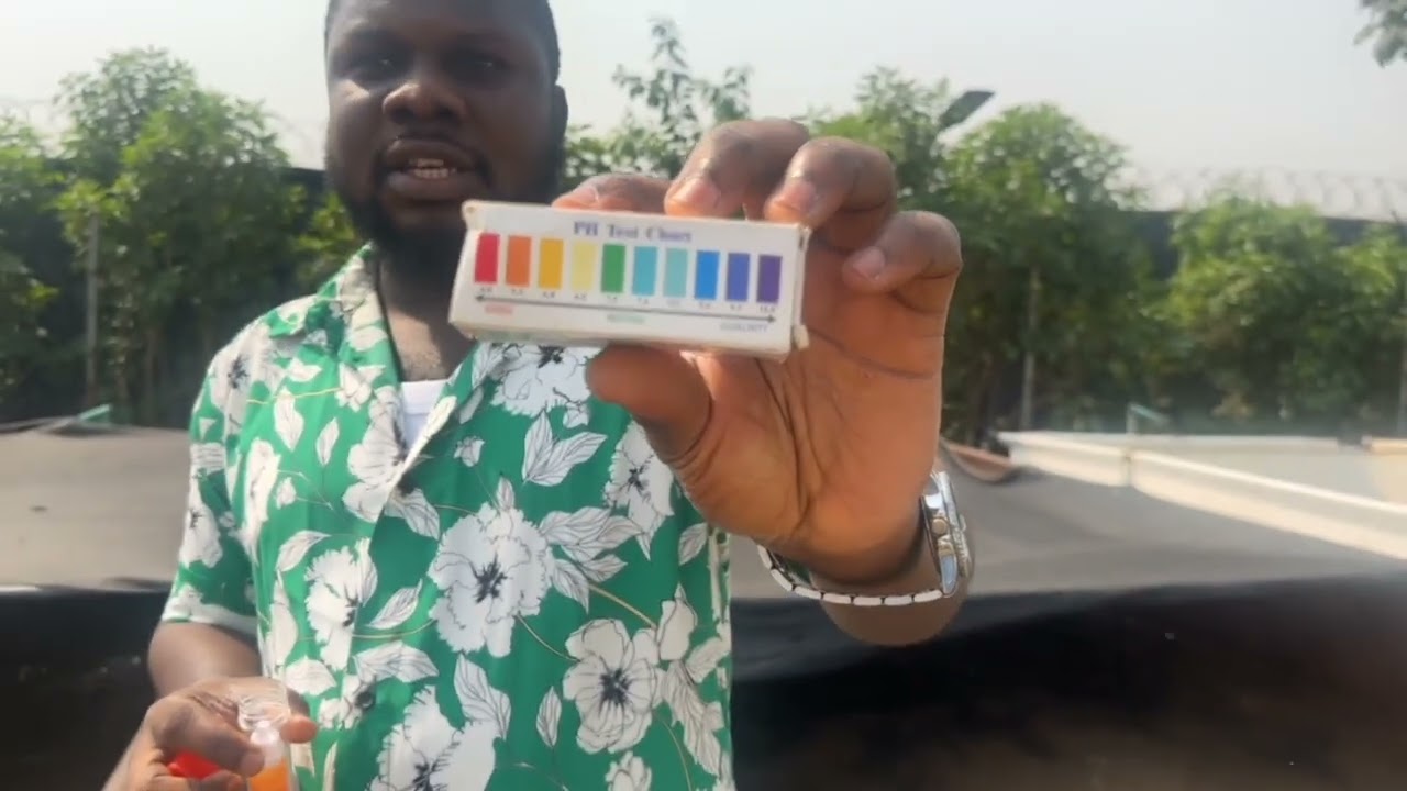 HOW TO CONTROL MORTALITY USING SODA ASH OR LEMON JUICE| HOW TO CONTROL WATER PH IN FISH FARMING