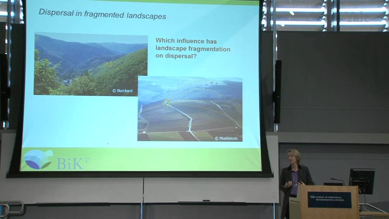 Boehning-Gaese: Biodiversity and Global Change