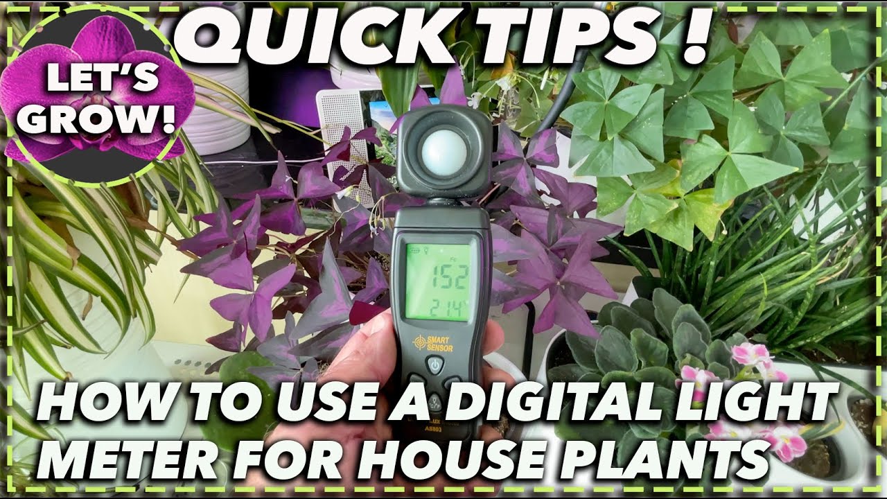 HOW TO USE A DIGITAL LIGHT METER