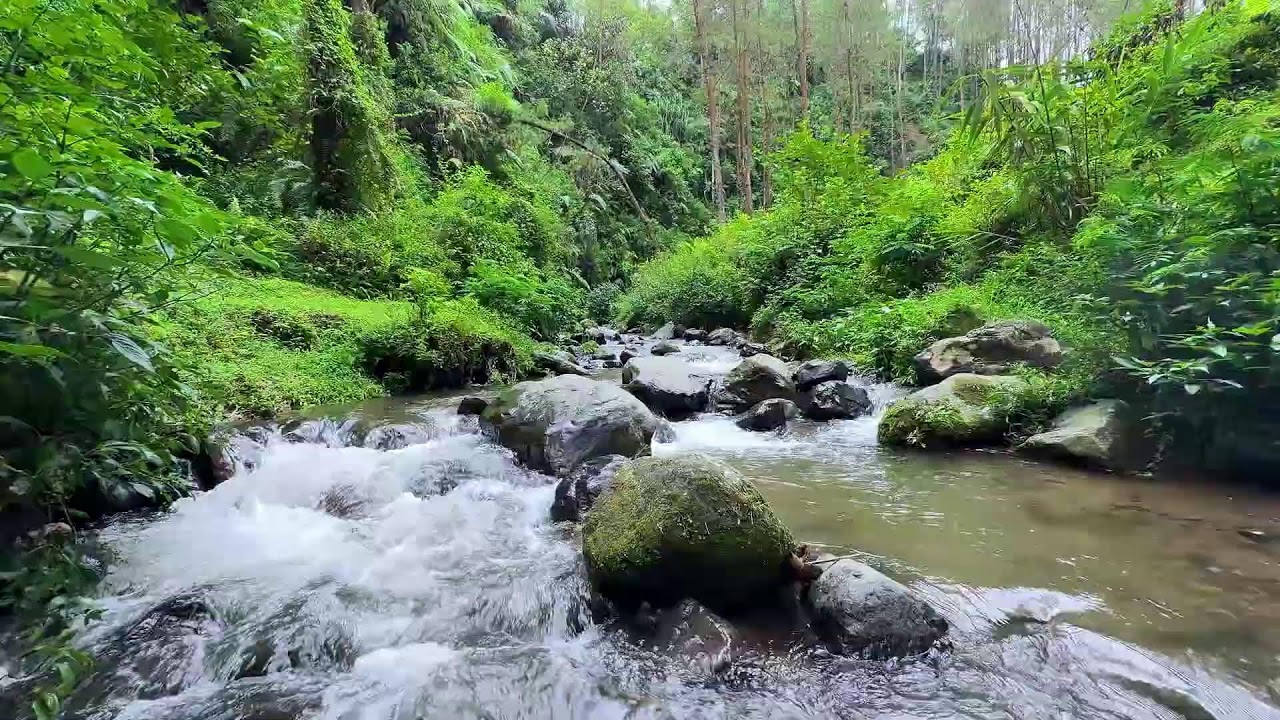 Keep anxiety low with peaceful river ambience around soft water promoting deep rest nightly