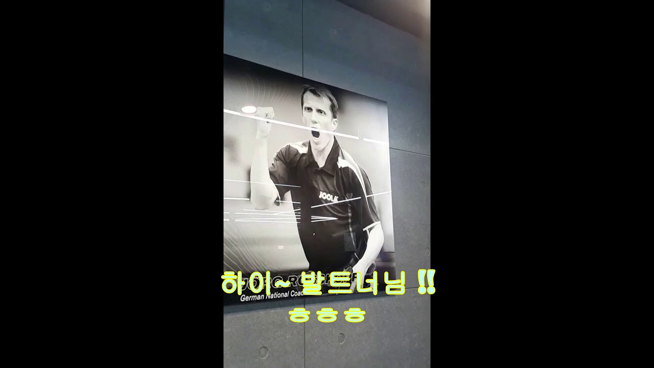 탁구용품 