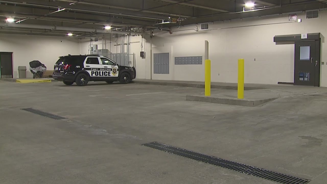 Sheriff: Woman slips handcuffs, grabs officer's gun