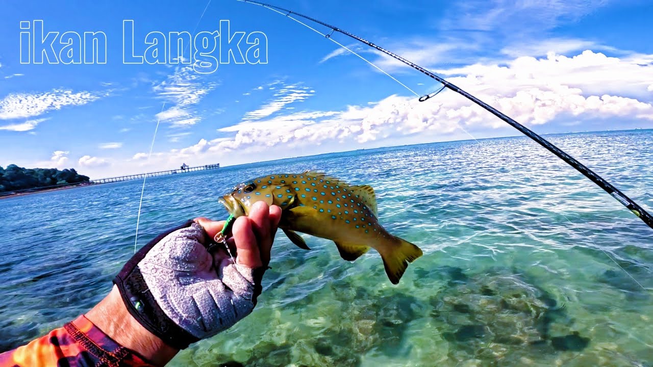 SPOT PINGGIRAN LUAR BIASA BANYAK JENIS IKAN NYA NONGSA-BATAM