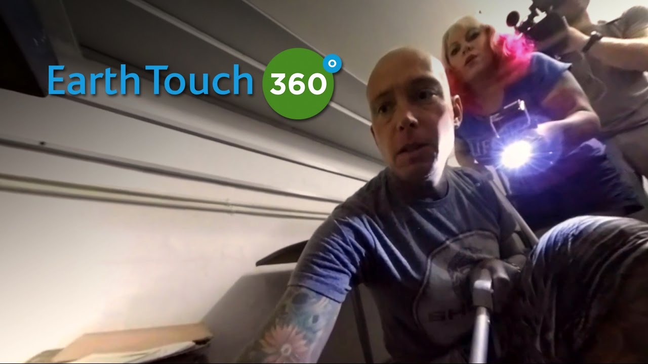 360°: Black Mamba Capture