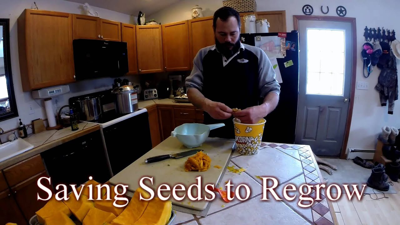 Grow Your Own Food Storage: Blue Hubbard Squash