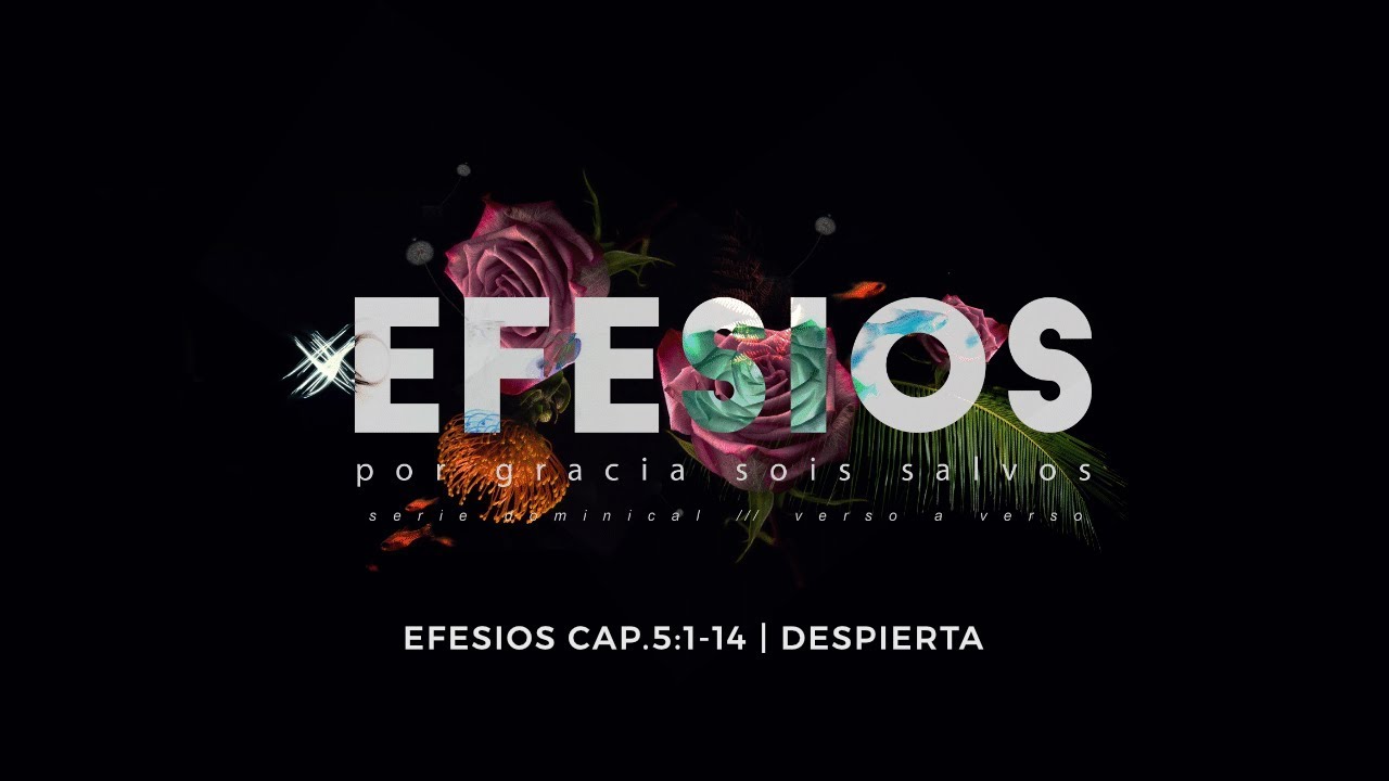 Despierta | Efesios 5:1-14 | Semilla Veracruz