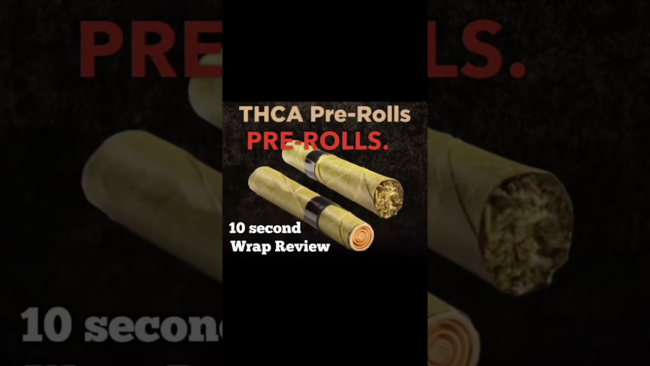 Quick 10sec wrap review: King Palm prerolls &ndash; a solid 5/5 for my session! use code KPWR for 20% off