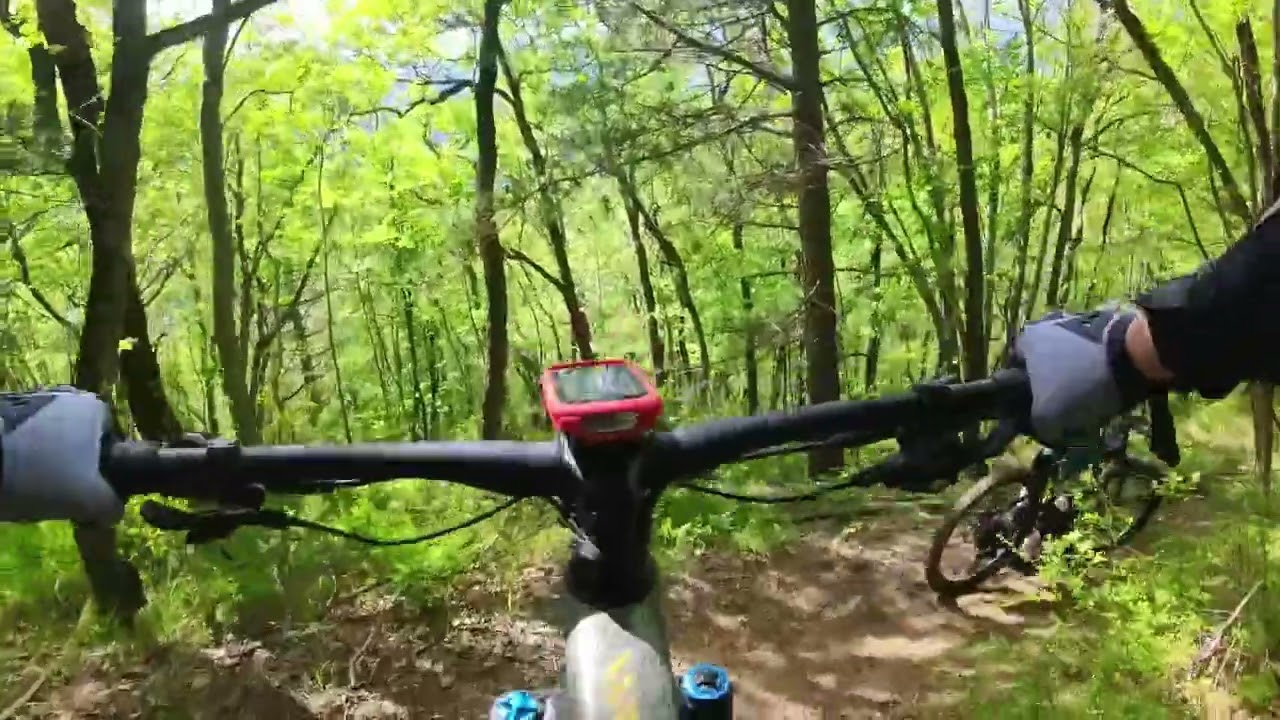 MTB Quarto Vertigo Papi Trail Canyon Fast Track