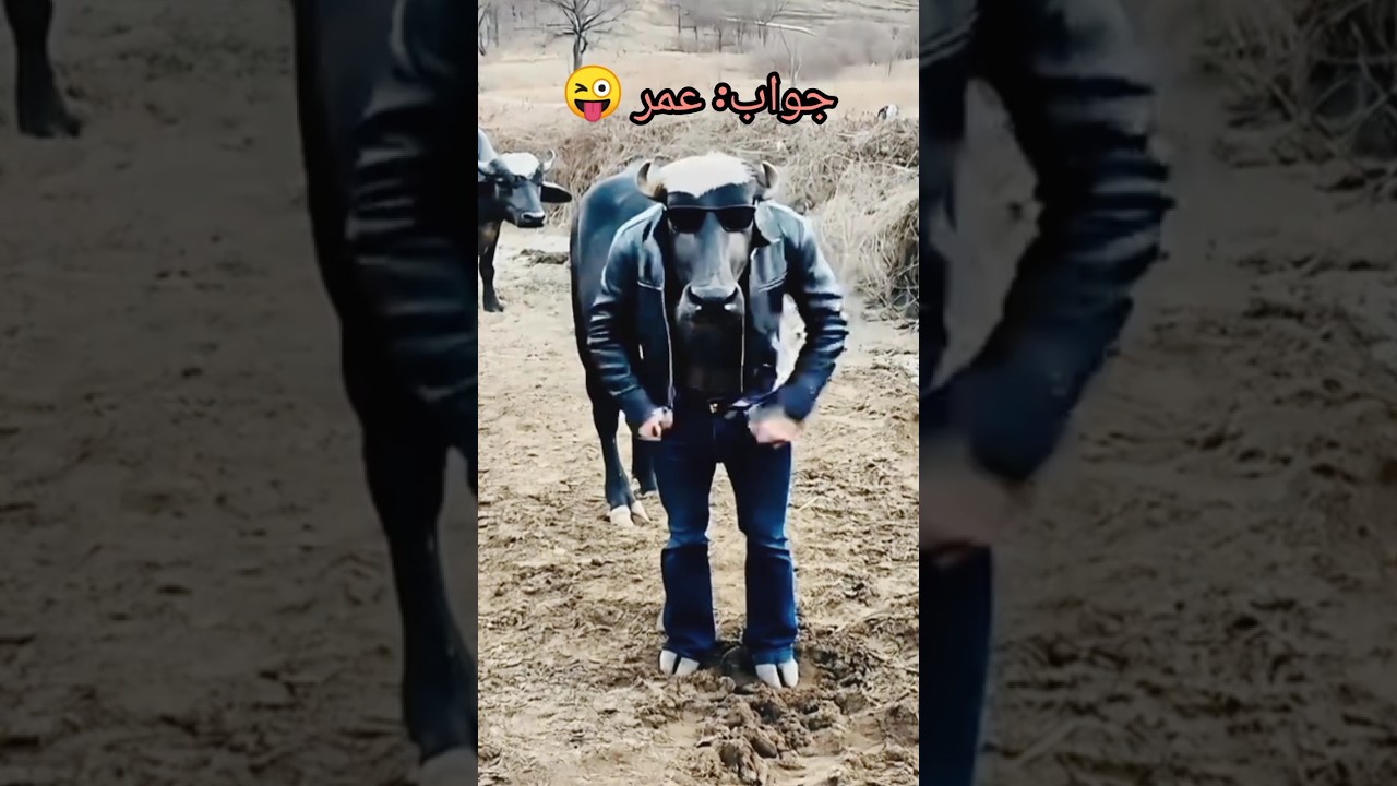 amazing COW 🐮 dance 🩰 