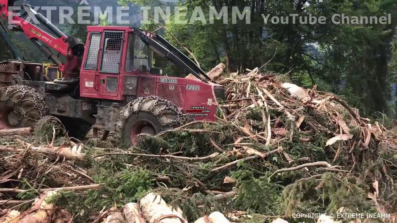 SKIDDER CAMOX POPWER SOUND 💪💪#skidder #camox #timberjack #timberpro #caterpillar #hsm